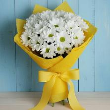 Букет цветов из:  Хризантемы в Рышково