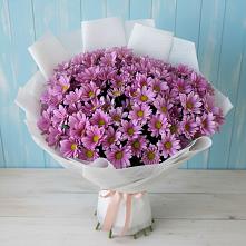 Букет цветов из:  Хризантемы в Рышково