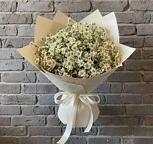 Букет цветов из:  Ромашки #REPLACE_PRED# Рышково