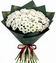 Букет цветов из:  Хризантемы в Рышково