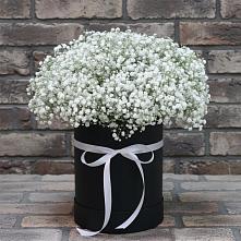Цветочная композиция из Гипсофила в шляпной коробке #REPLACE_PRED# Рышково