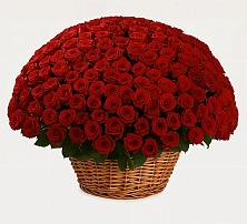 Премиум букет из: Розы в Рышково