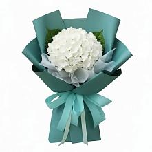 Букет цветов из:  Гортензия в Рышково